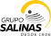Grupo Salinas